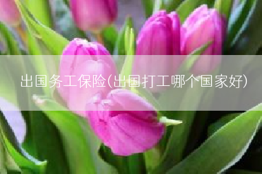 出国务工保险(出国打工哪个国家好)