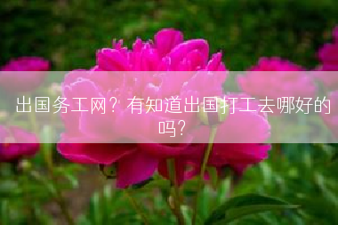 出国务工网？有知道出国打工去哪好的吗？