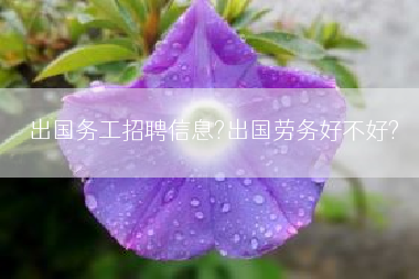 出国务工招聘信息?出国劳务好不好?