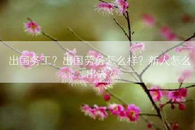 出国务工？出国劳务怎么样？新人怎么出去？