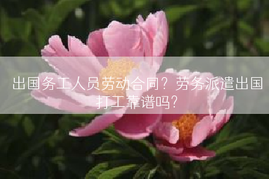出国务工人员劳动合同？劳务派遣出国打工靠谱吗？