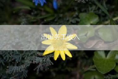 出国务工收入