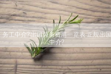 务工中介?出国劳务费用一览表 正规出国中介?