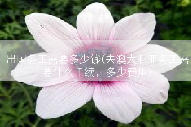 出国务工需要多少钱(去澳大利亚务工需要什么手续，多少费用)