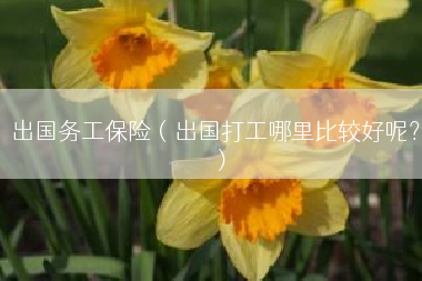 出国务工保险（出国打工哪里比较好呢？）