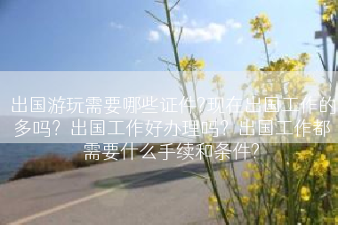 出国游玩需要哪些证件?现在出国工作的多吗？出国工作好办理吗？出国工作都需要什么手续和条件?