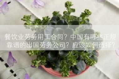 餐饮业劳务用工合同？中国有哪些正规靠谱的出国劳务公司？应该如何选择？