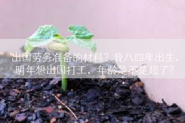 出国劳务准备的材料？我八四年出生，明年想出国打工，年龄是不是超了？