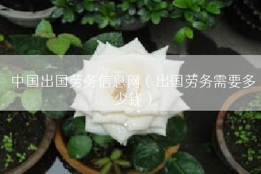 中国出国劳务信息网（出国劳务需要多少钱）