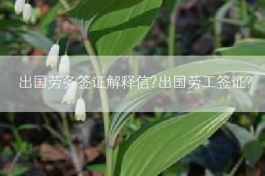 出国劳务签证解释信?出国劳工签证?