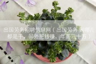 出国劳务招聘信息网（出国劳务 到哪儿都是干，国外把钱赚，年薪三十万）