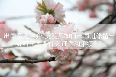 出国劳务中介(美发师如何出国进修留学或打工需要什么证件和手续？)