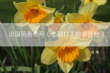 出国劳务费用（出国打工的辛苦经）