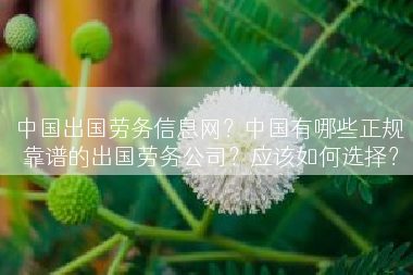 中国出国劳务信息网？中国有哪些正规靠谱的出国劳务公司？应该如何选择？