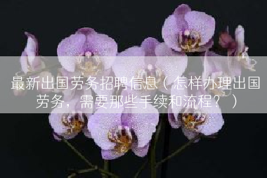 最新出国劳务招聘信息（怎样办理出国劳务，需要那些手续和流程？）