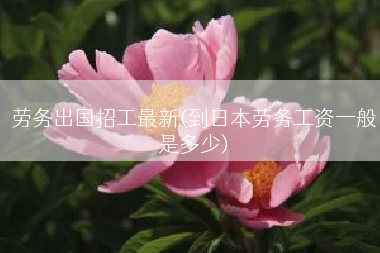 劳务出国招工最新(到日本劳务工资一般是多少)