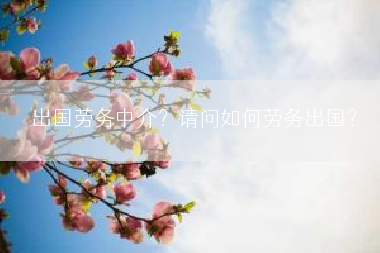 出国劳务中介？请问如何劳务出国？