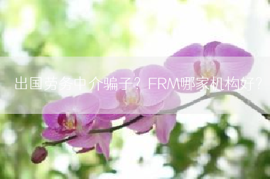 出国劳务中介骗子？FRM哪家机构好？