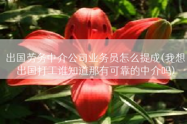 出国劳务中介公司业务员怎么提成(我想出国打工谁知道那有可靠的中介吗)