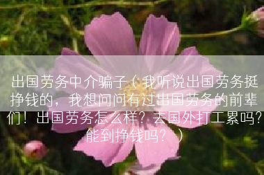 出国劳务中介骗子（我听说出国劳务挺挣钱的，我想问问有过出国劳务的前辈们！出国劳务怎么样？去国外打工累吗？能到挣钱吗？）