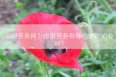 出国劳务网？出国劳务有哪些正规的公司？