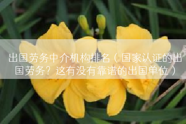 出国劳务中介机构排名（国家认证的出国劳务？这有没有靠谱的出国单位）