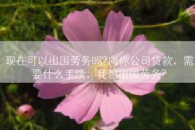现在可以出国劳务吗?向你公司贷款，需要什么手续，我想出国劳务?
