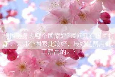 出国劳务去哪个国家好?请问现在出国打工，去哪个国家比较好，最好是费用低，工薪高的。?