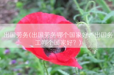 出国劳务(出国劳务哪个国家好，出国务工哪个国家好？)