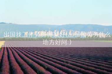 出国找工作劳务哪家好(出国做劳务什么地方好阿.)