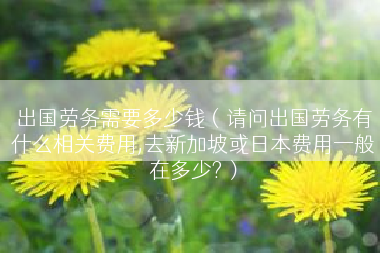 出国劳务需要多少钱（请问出国劳务有什么相关费用,去新加坡或日本费用一般在多少?）