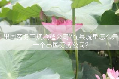 出国劳务正规派遣公司?在县城里怎么开一个出国劳务公司?