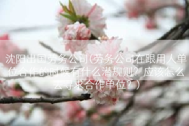 沈阳出国劳务公司(劳务公司在跟用人单位合作的时候有什么潜规则？应该怎么去寻求合作单位？)