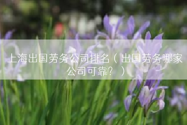 上海出国劳务公司排名（出国劳务哪家公司可靠？）