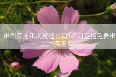出国劳务正规派遣公司?公司直招免费出国劳务?