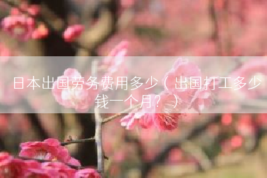日本出国劳务费用多少（出国打工多少钱一个月？）