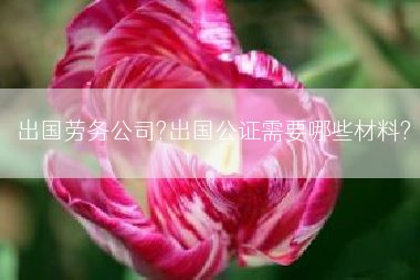 出国劳务公司?出国公证需要哪些材料?