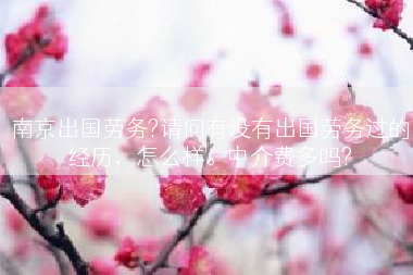 南京出国劳务?请问有没有出国劳务过的经历，怎么样。中介费多吗?
