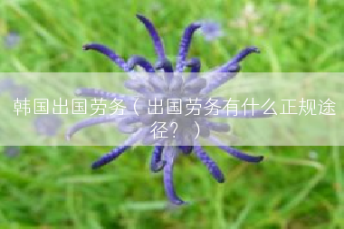 韩国出国劳务（出国劳务有什么正规途径？）