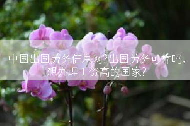 中国出国劳务信息网?出国劳务可靠吗，想办理工资高的国家?