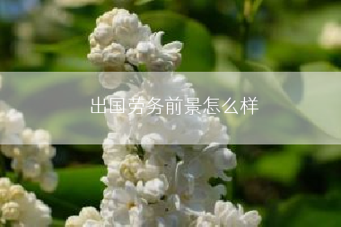 出国劳务前景怎么样