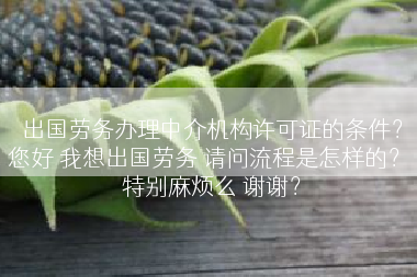 出国劳务办理中介机构许可证的条件？您好 我想出国劳务 请问流程是怎样的？ 特别麻烦么 谢谢？