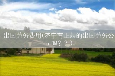 出国劳务费用(济宁有正规的出国劳务公司吗？？)