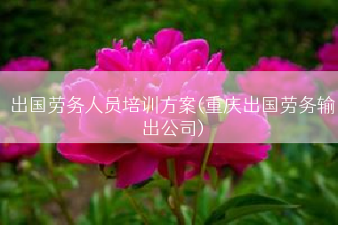 出国劳务人员培训方案(重庆出国劳务输出公司)
