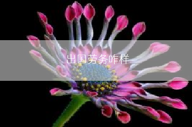 出国劳务咋样