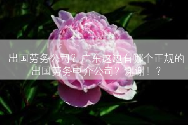 出国劳务公司？广东这边有哪个正规的出国劳务中介公司？谢谢！？