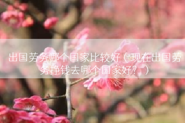 出国劳务哪个国家比较好（现在出国劳务挣钱去哪个国家好？）