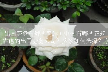 出国劳务有哪些网站（中国有哪些正规靠谱的出国劳务公司？应该如何选择？）