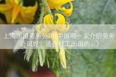 上海出国劳务公司(中国哪一家介绍劳务公司好？适合打工出国的。)