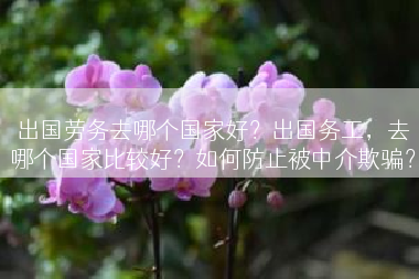 出国劳务去哪个国家好？出国务工，去哪个国家比较好？如何防止被中介欺骗？